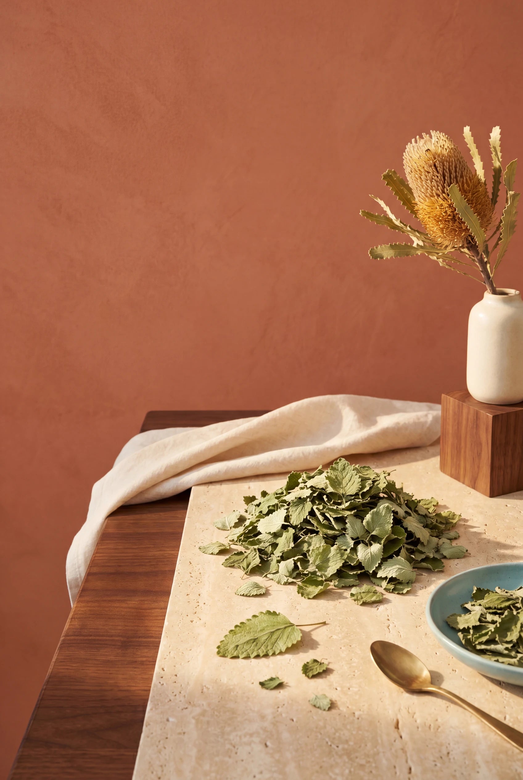 Lemon balm leaf