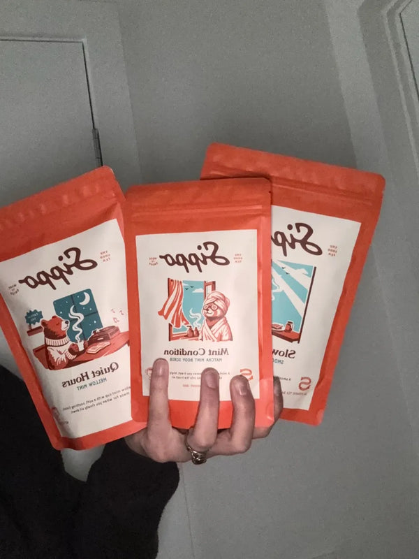 Hand fanning three Sippo packs, Quiet Hours, Mint Condition and Slow Mornings, against a grey door
